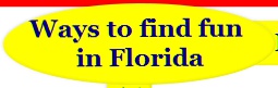 fun things to do in florida